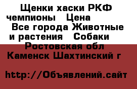 Щенки хаски РКФ чемпионы › Цена ­ 90 000 - Все города Животные и растения » Собаки   . Ростовская обл.,Каменск-Шахтинский г.